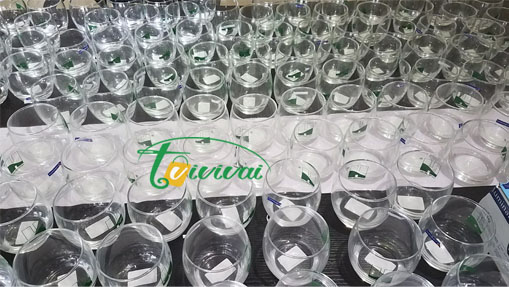 Ly thủy tinh quà tặng cao cấp-khách hàng VIETHOME