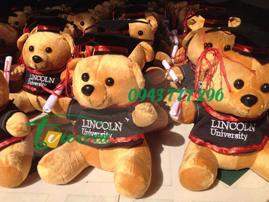 Gấu bông quà tặng tốt nghiệp – khách hàng trường ĐẠI HỌC LINCOLN
