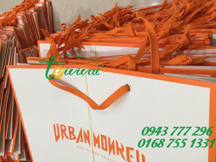 Túi giấy quảng cáo thương hiệu - SHOP URBAN MONKEY